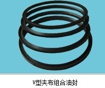 【【氟膠密封圈】V型夾布氟膠密封圈 密封件批發】價格,廠家,圖片,密封圈,鄭州市二七區萬順橡塑制品經營部-