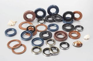 機械油封與氟膠密封圈的全面解析 生產廠家與價格指南